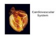 Cardiovascular System ARTERIES Blood Vessels--ARTERIES Transport blood AWAY from the heart. Large Arteries are Thick like a garden hose Elastic (distensible)
