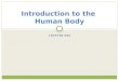 CHAPTER ONE Introduction to the Human Body. Understanding the Human Body Curiosity  Illnesses, injuries, death Obtained knowledge regarding the human