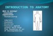 What is anatomy? structural organisation  Anatome(ana=up tomy=cut)  Anatomise  Dissection  Practical applied science which forms firm foundation of