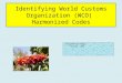 Identifying World Customs Organization (WCO) Harmonized Codes Trinidad and Tobago October 2011