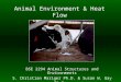 Animal Environment & Heat Flow BSE 2294 Animal Structures and Environments S. Christian Mariger Ph.D. & Susan W. Gay Ph.D