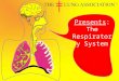 Presents: The Respiratory System The Lung Association of Saskatchewan © The respiratory system is what we use to breathe. It may seem simple to breathe,