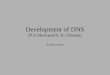 Development of DNS (P.V.Mockapetris, K.J.Dunlap) Anirban Kundu