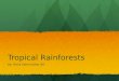 Tropical Rainforests By: Haila Salem Johar 6D. Tropical Rainforest! (How does it look like?)