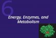 6 Energy, Enzymes, and Metabolism. 6 Energy and Energy Conversions ATP: Transferring Energy in Cells Enzymes: Biological Catalysts Molecular Structure
