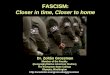 FASCISM: Closer in time, Closer to home Dr. Zoltán Grossman Dr. Zoltán Grossman Member of the Faculty (Geography/Native American Studies) The Evergreen