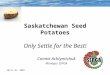 April 26, 2004 Saskatchewan Seed Potatoes Only Settle for the Best! Connie Achtymichuk Manager SSPGA
