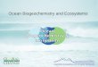 Ocean Biogeochemistry and Ecosystems. History Development How to contribute