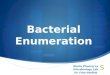 Bacterial Enumeration Gloria Phuong Le Microbiology Lab Dr. Fran Norflus