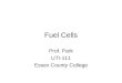 Fuel Cells Prof. Park UTI-111 Essex County College