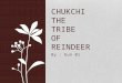 By : Eun Bi CHUKCHI THE TRIBE OF REINDEER. Origin/Location Chukchis live in the northeastern of Siberia, along the coast of the Artic Ocean Chukchi was