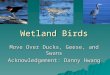Wetland Birds Move Over Ducks, Geese, and Swans Acknowledgement: Danny Hwang