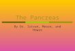 The Pancreas By Dr. Istvan, Moore, and Howze. General Information  The Pancreas is located superior to the Duodenum, and Inferior to the Stomach.  The