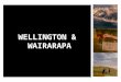 WELLINGTON & WAIRARAPA. WELLINGTON  Nearest airport: Wellington (domestic and international) 20 minutes. Transport: Fantastic bus,