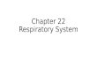 Chapter 22 Respiratory System. Function of the Respiratory System Supply the body with oxygen and dispose of carbon dioxide