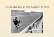 Horse Racing in the United States. Types of Horses in Horse Racing Thoroughbreds and Quarter Horses