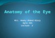 Mrs. Amany Ahmed Niazy Opto 435 Lecture 2. Eyeball The eyeball lies in a pyramid-shaped bony cavity called orbit. Each eyeball is suspended by extra ocular