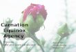 Carnation Equinox Agency Presents: Leaf and Lawn Landscape Alyssa Obin Monika Rutana Morgan Wert