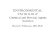 ENVIRONMENTAL PATHOLOGY Chemical and Physical Agents Nutrition David S. Wilkinson, MD, PhD