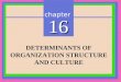 Chapter 16 DETERMINANTS OF ORGANIZATION STRUCTURE AND CULTURE