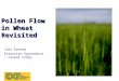 Pollen Flow in Wheat Revisited Joel Ransom Extension Agronomist â€“ Cereal Crops
