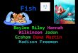 Fish Baylee Riley Hannah Wilkinson Jadon Graham Dana Martin Madison Freemon