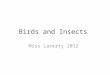 Birds and Insects Miss Laverty 2012. March 26 th, 2012 Instructions 1.Please hand out the workbooks 2.Grab today’s handout Today’s agenda Brain Storm