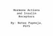 Hormone Actions and Insulin Receptors By: Netee Papneja, PGY5 Netee Papneja PGY 5, Endocrinology