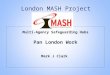 London MASH Project Multi-Agency Safeguarding Hubs Pan London Work Mark J Clark