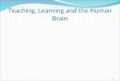 Teaching, Learning and the Human Brain 1. Placing Teaching in the Context of Learning “The human brain/mind is like a dynamic kaleidoscope. The neurosciences
