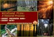 Wildland Fire: A Natural Process Wildland Fire Education Working Team