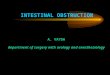 INTESTINAL OBSTRUCTION A. VAYDA department of surgery with urology and anesthesiology