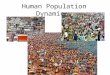 Human Population Dynamics. How do populations change Immigration – movement of people or species into a population Emmigration – movement of people or