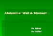 Abdominal Wall & Stomach Dr. Nimir Dr. Safaa Objectives  the abdominal wall  Define the abdominal wall.  the layers  Enlist the layers..   Give