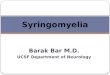 Barak Bar M.D. UCSF Department of Neurology Syringomyelia