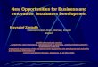 New Opportunities for Business and Innovation Incubators Development Krzysztof Zasiadly National Contact Point, Warsaw, Poland Expert Twelfth International