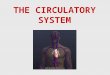 THE CIRCULATORY SYSTEM. Heart Veins Capillaries Arteries Circulatory System