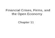 Financial Crises, Firms, and the Open Economy Chapter 11