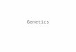 Genetics. What is genetics? The science of heredity; includes the study of genes, how they carry information, how they are replicated, how they are expressed