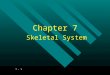 7 - 1 Chapter 7 Skeletal System. 7 - 2 7.1 Introduction: 7.1 Introduction: A.Bones are very active tissues. A.Bones are very active tissues. B.Each bone
