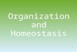 1 Organization and Homeostasis. 2 Levels of biological organization Chemical Cellular Tissue Organs System Level Organismic Level