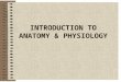 INTRODUCTION TO ANATOMY & PHYSIOLOGY. DEFINITIONS Anatomy -“to cut apart” -Study of Bodily Structure -Includes: *Systemic or Regional *Gross or Microscopic