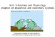 Unit 9-Anatomy and Physiology Chapter 30-Digestive and Excretory Systems