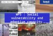 WP5 : Social vulnerability and adaptive capacity Implementation plan M.C. Llasat, C. Lutoff, I.Ruin HYMEX MEETING, CRETA, JUIN 2009
