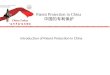 Patent Protection in China 中国的专利保护 Introduction of Patent Protection in China