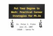 Dr. Peter S. Fiske June 25, 2007 CEDAR – Santa Fe Put Your Degree to Work: Practical Career Strategies for Ph.Ds