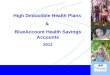 Healthy Employees... Healthy Business 1 High Deductible Health Plans & BlueAccount Health Savings Accounts 2012