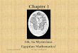 Lewinter and WidulskiThe Saga of Mathematics1 Chapter 1 Oh, So Mysterious Egyptian Mathematics!