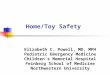 Home/Toy Safety Elizabeth C. Powell, MD, MPH Pediatric Emergency Medicine Children’s Memorial Hospital Feinberg School of Medicine Northwestern University