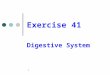 Exercise 41 Digestive System 1. Digestion and absorption It is the physical and chemical break down of food Absorption It is the passing of the digested